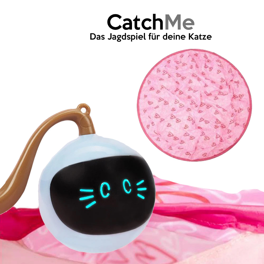 CatchMe - Interaktives Katzenspielzeug